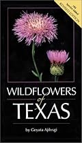 Wildflowers of Texas