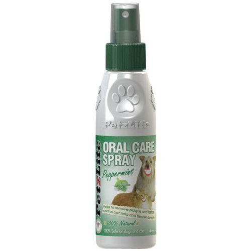 Petzlife Oral Care Spray (450+ Sprays per bottle)