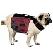 Kyjen Outward Hound Excursion Dog Backpack, Small, Red Clay and Java