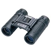 Bushnell Powerview 8x21 Compact Folding Roof Prism Binocular (Black)