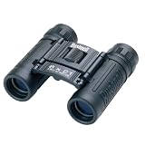 Bushnell Powerview 8x21 Compact Folding Roof Prism Binocular (Black)