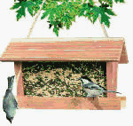 Perky Pet 50104 The Cottage Cedar Feeder, 3 lb capacity