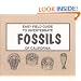 Easy Field Guide to Invertebrate Fossils of California (Easy Field Guides)