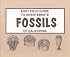 Easy Field Guide to Invertebrate Fossils of California (Easy Field Guides) (Easy Field Guides)