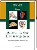 Anatomie der Hauss�ugetiere