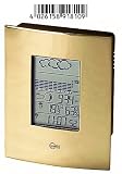 Produkt-Bild: Eschenbach 53181 Funkwetterstation Premium Messing