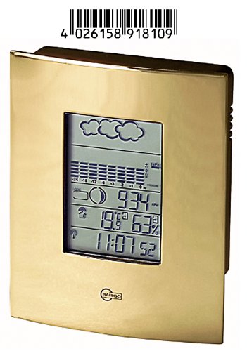 Eschenbach 53181 Funkwetterstation Premium Messing Preisvergleich