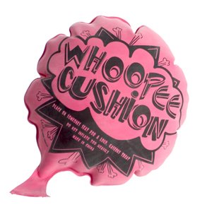 Amazon.com: Whoopie Cushion: Toys & Games