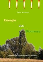 Energie aus Biomasse: Eine &Uuml;bersicht &uuml;ber Rohstoffe und Verfahren