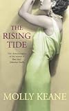 The Rising Tide (Virago Modern Classics)