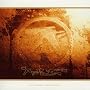 Selected Ambient Works Vol.2