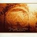 Selected Ambient Works Vol.2
