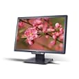 Acer AL1916Wd 19