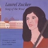 cover of Song Of The Wind for Solo Flute