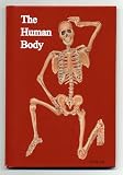 Human Body
