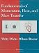 Fundamentals of Momentum, Heat and Mass Transfer