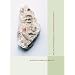 English Fragments A Brief History of the Soul