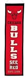 Chicago Bulls 8 in x 32 in See Red Heritage Banner - Red