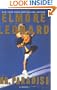 Mr. Paradise:  A Novel