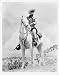 Search : The Lone Ranger and Silver 8x10 Photo