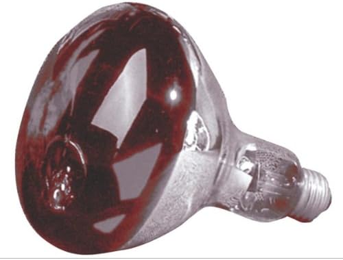 Supreme lighting 03064/S4998 Heat Lamp Bulbs / Type (Red - 250 Watt)