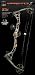 Bear Archery Apprentice 2 Ready-to-Hunt Bow Package (Realtree APG Camo, Right Hand)
