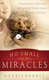 No Small Miracles: Heartwarming, Humorous, and Hopefilled Stories from a Pediatric Chaplain