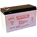 Yuasa NP7-12 12V 7AH Battery