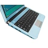 SKQUE Case Skin for Dell Mini 9 Inspiron 910 Laptop Notebook
