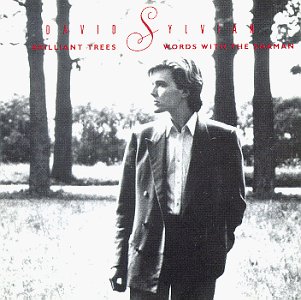 David Sylvian - Brilliant Trees & Words With The Shaman - Zortam Music