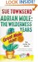 Adrian Mole: The Wilderness Years