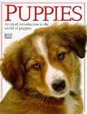 Puppies (Dk Photographic)