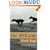 Black Dogs: A Novel