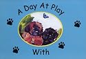 A Day at Play with Emerson & Peabody