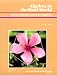 Book Algebra in the Real World: 38 Enrichment Lessons for Algebra 2