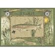 Associated Weavers Trout Fishing Wildlife Rug 36"X52" -