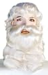 Deluxe Kanekalon Beard & Wig