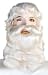 Deluxe Kanekalon Beard & Wig