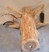 Style 1 Red Cedar Cat Scratcher with Mouse