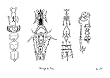 Tatouages de l'Air