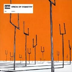Origin Of Symmetry