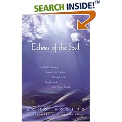 Echoes of the Soul: Moving Beyond the Light