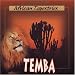 Temba - African Tapestries Image