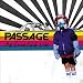 CD - Forcefield Kicks von Passage