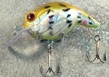JLVLures Shallow Crankbait Cappuccino Frog : Diver Lures JLV Freshwater Smallmouth Steelhead Pike Salmon Trout Perch Whiper Mid Depth Trolling Casting Bass Hook Treble Bronze Boat Dock Brook Bay Little Stump River Walleye Weed Surface Topwater Shad