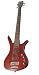 Warwick Corvette Basic 5-String Burgandy Red Bass w/ Gigbag