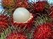 10 Rambutan Fresh Seeds, Tropical Seasonal Delicious Juicy Fruits