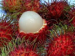 10 Rambutan Fresh Seeds, Tropical Seasonal Delicious Juicy Fruits