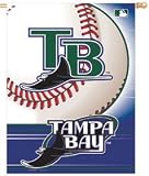 Tampa Bay Rays 27x37 Alternate Style Banner