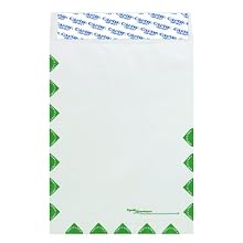 Columbian CO810 9-1/2x12-1/2-Inch Tyvek First Class Mail White Envelopes, 100 Count